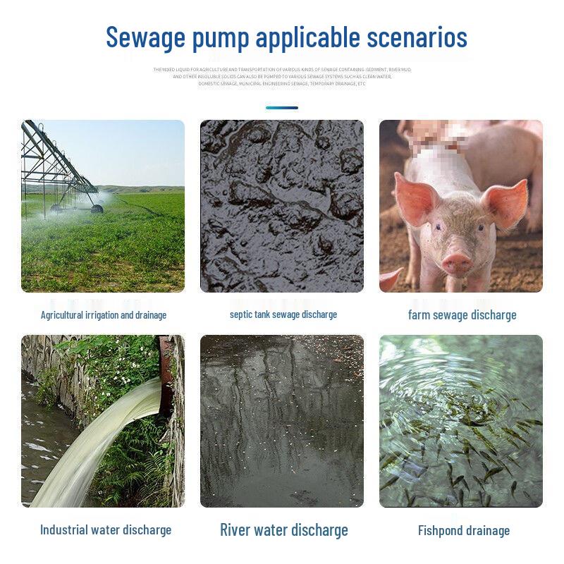 220V Household Sewage & Sludge Pump for Septic Tank and Drainage