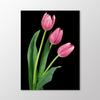 Pink Tulips Painting