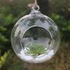 Sagit Flower Hanging Vase Glass Planter Plant Terrarium Container Home Wedding Decor