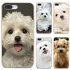 For Oppo Realme 6 7 7i 6i C3 For Xiaomi Poco F3 F2 M3 Pro HTC U11 U12 Plus Transparent TPU Case I Love My Maltese Dog Puppies