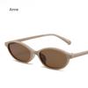 Sexy Small Oval Women Sunglasses  New Fashion Leopard Brown Sun Glasses Female Retro Colorful Shade Eyeglass luxury designer
