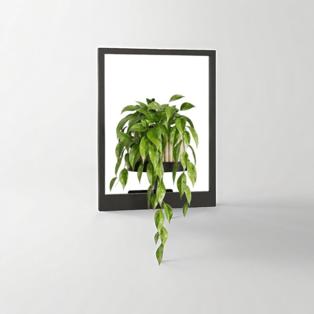 Stylish Metal Plant Wall Frame Black Wall Mounted Succulent Hanger For Home Decor