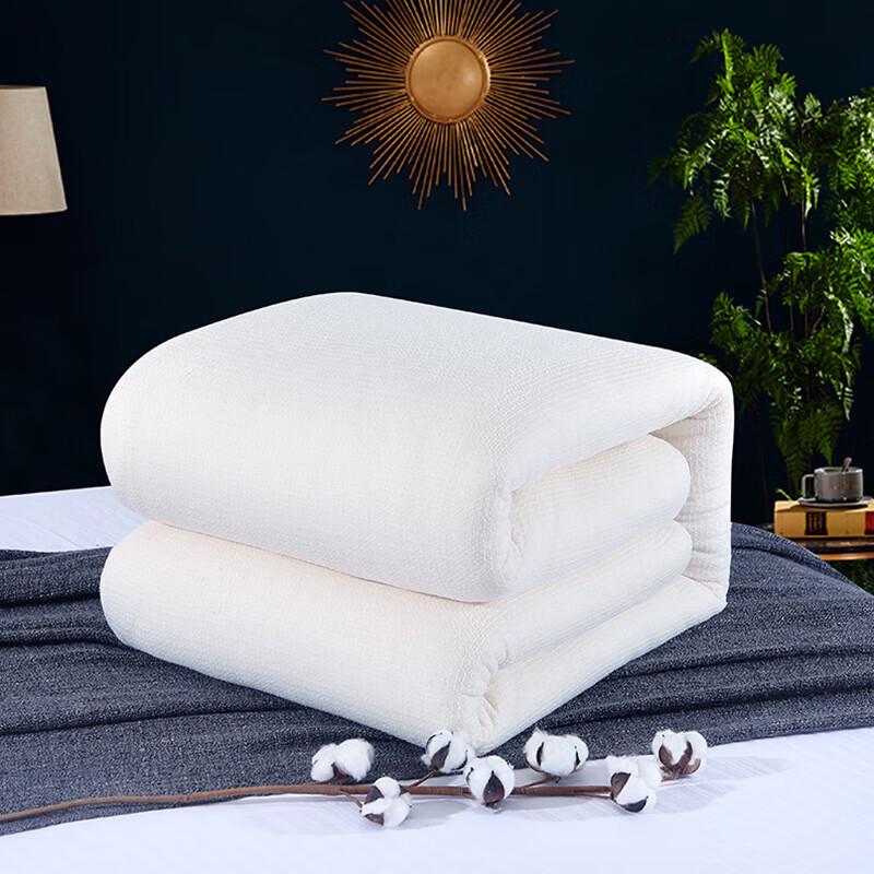 Lele Bear All-Season Thick Cotton Quilt