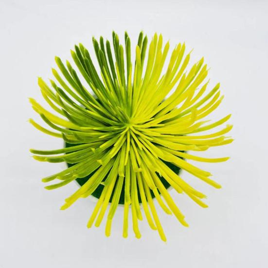 Привлекательное моделирование горшечных растений, долговечное, 2 цвета, устойчивое к ультрафиолетовому излучению.