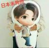 [USED] Korea Exclusive Tinytan Official BTS Jungkook Cushion