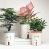 Automatic Self Watering Flower Pot Double Layer Plastic Self Watering Planter Put In Floor Irrigation For Garden Indoor Home Dec