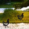 Wrought Iron Rooster Ornament Hollow Out Chickens Family Figure Chicken Yard Art Garden Metal Statue Farmhouse Decor