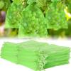 100Pcs Protection Bags Large Grape Fruit Garden Netting Bag Vegetable Strawberry Mesh Bag With Drawstring Agricultural Anti-Bir