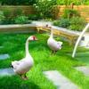 Acrylic Goose Statue for Garden Decorative Stakes Yard Ornament Animal Sculpture(Flat Not 3D)