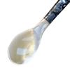 Ложка для мороженого с акриловой ручкой Элегантная чайная ложка из натуральной морской раковины