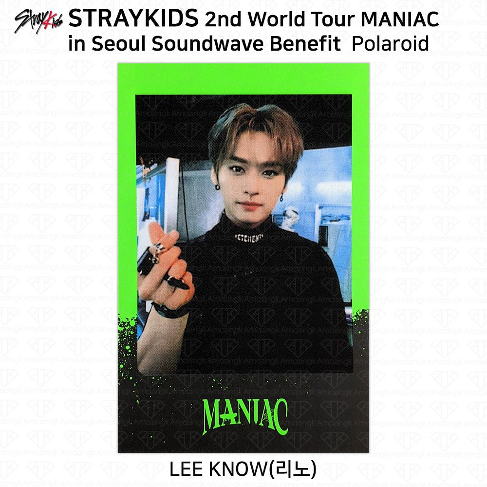 Stray Kids 2-й мировой тур MANIAC в Сеуле Фотокарточка Polaroid KPOP K-POP