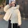 Down Jacket Women's Winter Hooded Coat Warm