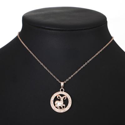 Персонализированное круглое ожерелье с подвеской «Двенадцать созвездий» для женщин