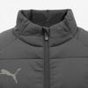 Puma Спортивная одежда Teamley Vest Утепленный жилет 65891303