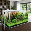 Mute Fish Tank Water Changer Mini Electric Suction Drainer Siphon Pump  Aquarium Maintenance