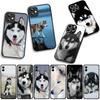 Phone Cover Animal Lovely Husky Dog Casing for Samsung Galaxy S25 S24 S22 S23 FE Ultra Plus A56 A05 A06 A15 A16 A55 S7 Edge Case