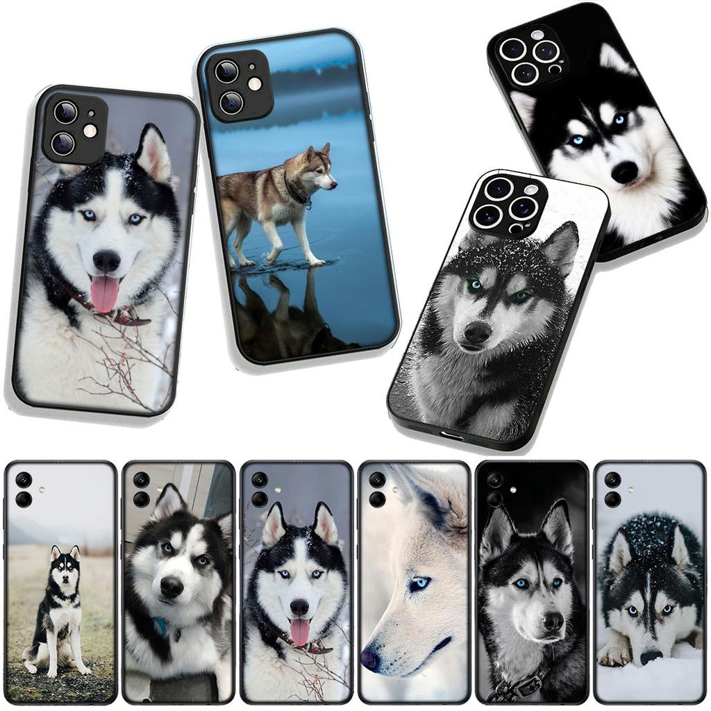 Phone Cover Animal Lovely Husky Dog Casing for Samsung Galaxy S25 S24 S22 S23 FE Ultra Plus A56 A05 A06 A15 A16 A55 S7 Edge Case