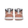 Air Jordan 1 Mid TD White Light Madder Root DM9079-108