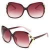 Women Shades Oversized Eyewear Classic Designer Sunglasses LXY