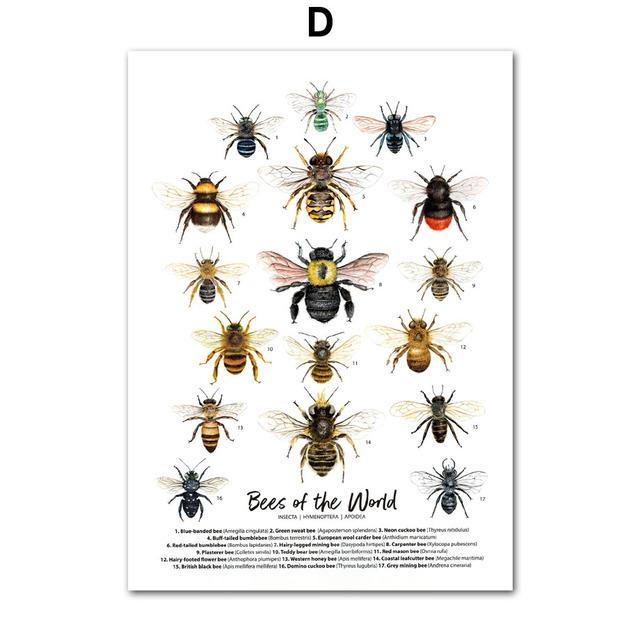 Насекомые, птицы, бабочки, сафари, образовательные плакаты с животными и принты, холст, украшение для детской комнаты, домашние картины, детская комната