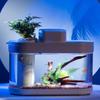Умный аквариум для Xiaomi Mijia MiHome App Amphibious Eco Aquarium Pro WiFi Box C180 Auto Feeder RGB Lighting Works Fishtank
