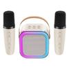 Bluetooth Audio Mini Karaoke Machine with 1/2 Wireless Microphones Karaoke Microphone  Adult