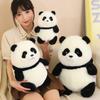Cute Cute Little Panda Doll Plush Toy Black and White Panda Doll Children Accompany Soothing Pillow Rag Doll