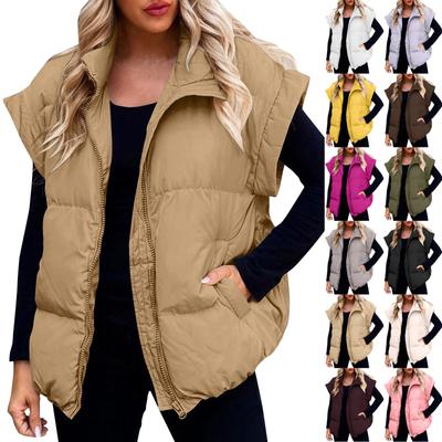 Женский повседневный зимний жилет с воротником-стойкой, без рукавов, пуховые куртки, пальто с карманами, зима