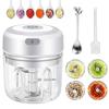 Electric Garlic Chopper 250ML Mini Portable Vegetable Chopper, Wireless Food Processor Garlic Mincer for Onion Ginger Chili