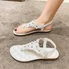 Retro Bohemian Flat Heels Sandals for Women 2024 Summer Flowers Casual Sandals Shoes Woman Lightweight Beach Solid Flip Flops