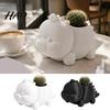 Cute Desktop Decoration 3D Printed Dinosaur Shaped Succulents Pot, Planter for Small Modern Desk Accessory Cactus Mini Plants, Decorative Flower