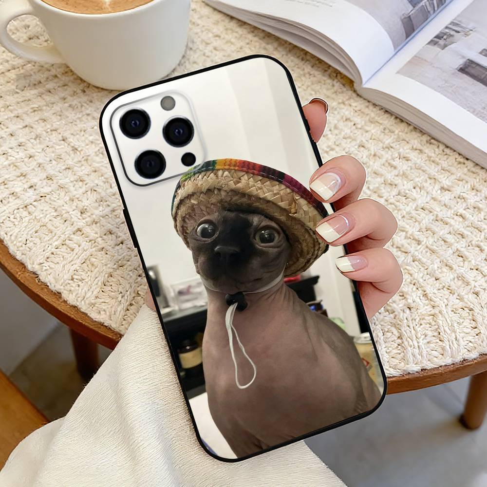 Забавный чехол для телефона с кошкой Pet Cat Funny-Y для iPhone 17, 16, 15, 14, 13, 12, 11 Plus, Pro Max, Другие Мягкий Черный Чехол