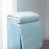 LUOLAI Super Soft Anti-Mite Washable Summer Comforter