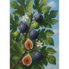 Fruit Orchard Posters Olive Branch Peach Tree Ripe Kiwi Fruit Modern Prints Canvas Painting Wall Picture Home Living Room Decor
