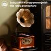 HOFEINZ Natural Wood Phonograph Pure Copper Horn Crafts Multi Record Radio RPM Player/Bluetooth4.2/USB/FM 33/45