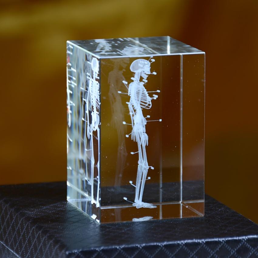 3D Кристаллическая модель анатомии человеческого скелета Лазерная гравировка Медицинский обучающий инструмент Научный подарок для врачей Медицинское искусство Подарок