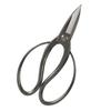 Senkichi Gold Okubo Scissors Stainless Steel Total Length 180mm Recommended Cutting Length for Live Wood 8mm Can Be Used for Multiple Purposes Such As