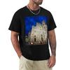 Florence Cathedral Tshirt Unisex T Shirt Graphic Tshirt