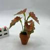 Mini Simulation Green Plants Plastic Colorful Taro Green Plant  Miniature Dollhouse Decorations