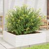 VidaXL Planter White 80x80x23 Cm Solid Pine Wood, Outdoor Planter, Flower Box, Plant Box, Planter 847199