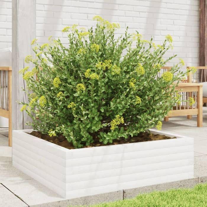 VidaXL Planter White 80x80x23 Cm Solid Pine Wood, Outdoor Planter, Flower Box, Plant Box, Planter 847199