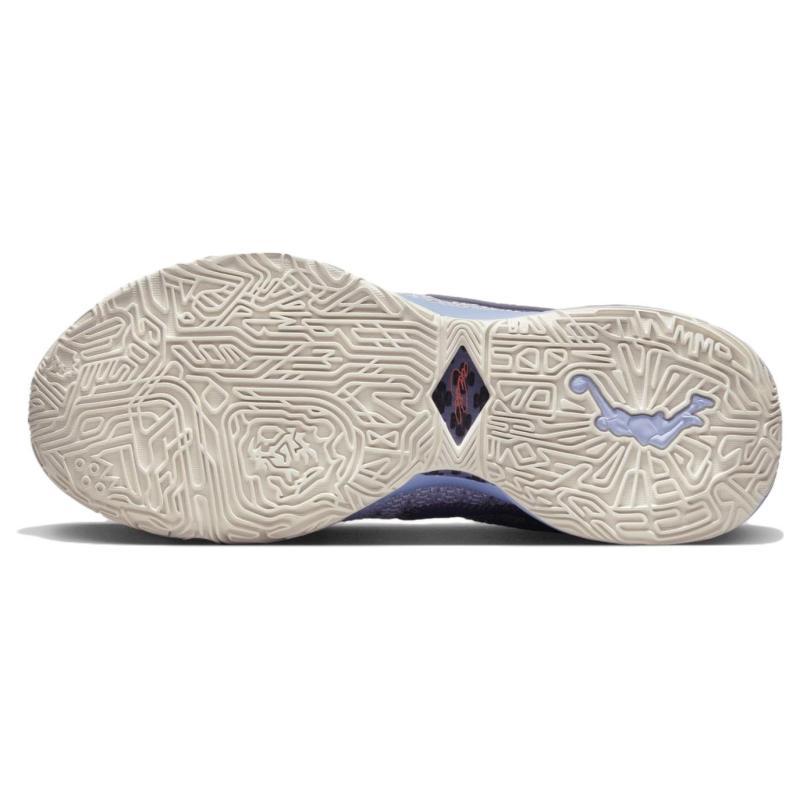 Nike Кроссовки LeBron 20 EP "Purple And Gold" DJ5422-500