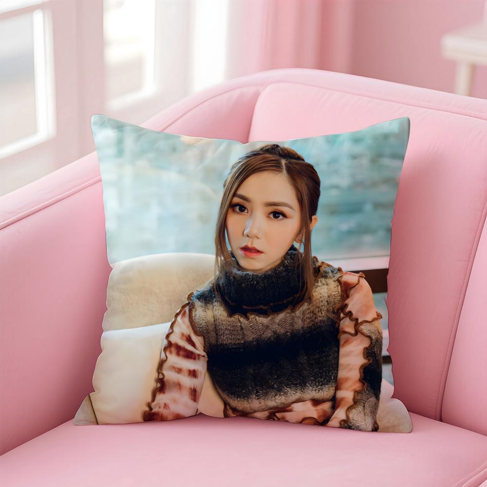 Popular fashion Chinese singer GGEM Cushion Cover Pillowcase Short Plush Invisible zipper Room Sofa Cushion Cover