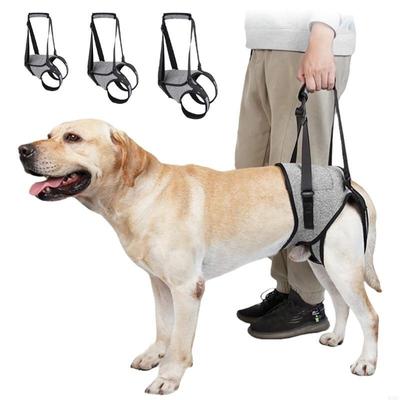 Собачий задний leg assistance собачий lifting harness удобный регулируемый дизайн задний leg brace для различных пород мобильность