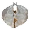 1 Set Performance Telescopic Rod 360 Wings Egyptian Degree Belly Dance Cape with Costume Pleated Bright