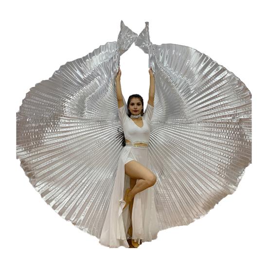 1 Set Performance Telescopic Rod 360 Wings Egyptian Degree Belly Dance Cape with Costume Pleated Bright