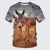 Summer Funny Donkey 3D Print T-Shirts Streetwear Men Women Fashion Oversized Short Sleeve T Shirt O-Neck Kids Tees Tops Clothing