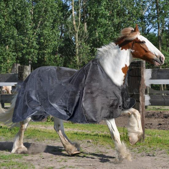 Зимние одеяла для лошадей, флисовые, теплые, для ухода за лошадью, термоодеяла для упражнений с лошадью
