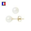 Compagnie Générale Des Perles - Genuine Cultured Pearl Earrings 7-8 Mm 18 Cts Yellow Gold Security System - Women's Jewelry