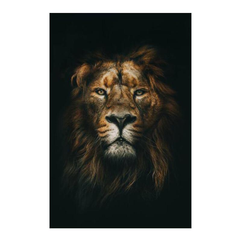 Дикие африканские львы в темноте, холст, картина на стене, художественные постеры и принты, черно-белые фотографии животных, домашний декор